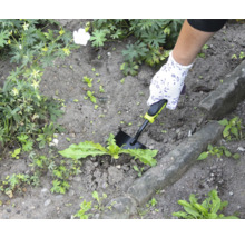 Imagine de grădină cu mână, mănușă de grădină și plivitoare de buruieni în uz.