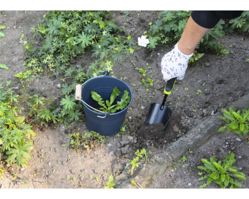 O persoană îndepărtează buruienile cu o lopată dintr-o grădină, buruienile sunt colectate într-o găleată