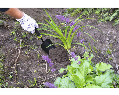 O persoană plantează o plantă în pământ cu o lopată de mână.