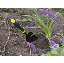 Scenă de grădină cu o mică lopată de grădină lângă o plantă cu flori mov.