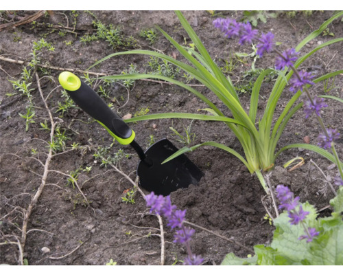 Scenă de grădină cu o mică lopată de grădină lângă o plantă cu flori mov.