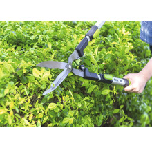 Foarfecă manuală de gard viu for_q tăind un gard viu verde în grădină.