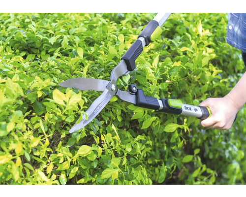 Foarfecă manuală de gard viu for_q tăind un gard viu verde în grădină.