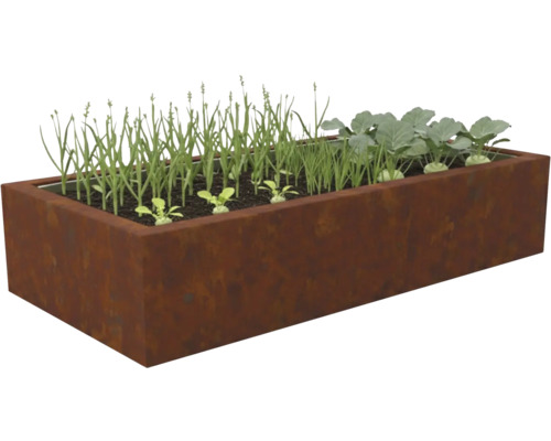 Strat înălțat dreptunghiular din oțel Corten cu răsaduri tinere de legume precum gulia și lăstari verzi.