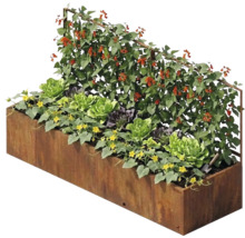 Jardinieră înălțată dreptunghiulară din oțel corten cu spalier înalt, plantată cu salată și plante cățărătoare.