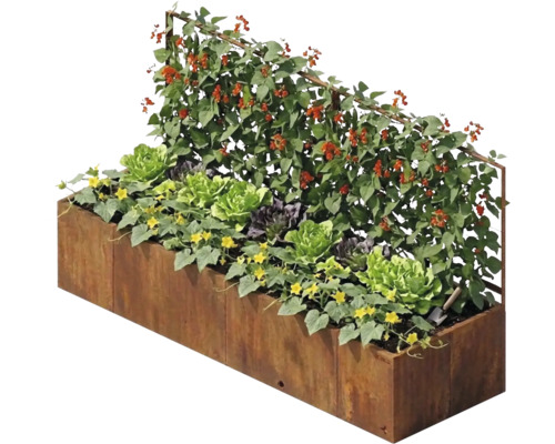 Jardinieră înălțată dreptunghiulară din oțel corten cu spalier înalt, plantată cu salată și plante cățărătoare.