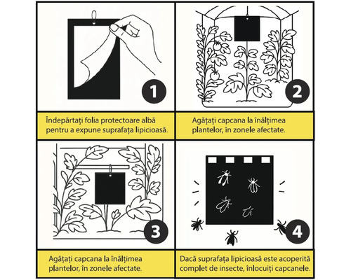 Instrucțiuni capcană insecte: îndepărtare folie, agățare la înălțimea plantelor, plasare în zone afectate și înlocuire la nevoie.
