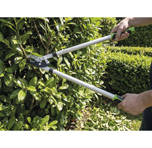 O persoană taie un gard viu în grădină cu o foarfecă de crengi tip bypass. Foarfeca de crengi are mânere lungi și mânere ergonomice.