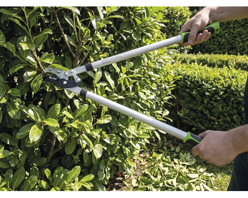 O persoană taie un gard viu în grădină cu o foarfecă de crengi tip bypass. Foarfeca de crengi are mânere lungi și mânere ergonomice.