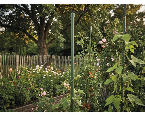 Tutore verde din plastic pentru tomate și plante cățărătoare într-o grădină înflorită cu gard de lemn.