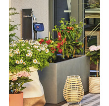 Programator pentru irigatii Gardena conectat la un robinet pe o terasa cu jardiniere si plante de legume.