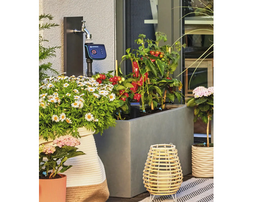 Programator pentru irigatii Gardena conectat la un robinet pe o terasa cu jardiniere si plante de legume.