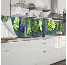 Protecție perete bucătărie cu motiv de plante aromatice într-o bucătărie modernă