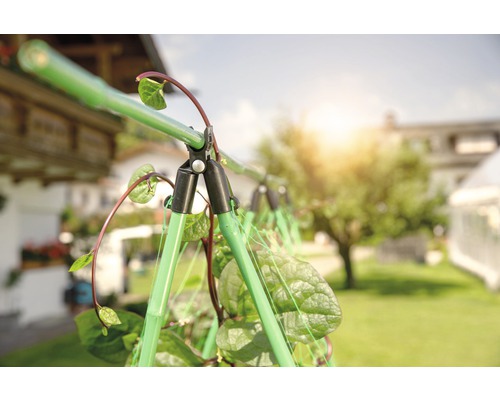 Suport pentru plante în grădină cu plante cățărătoare