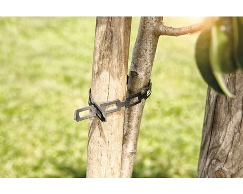 Legătură de copac pentru fixarea arborilor tineri