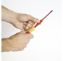 O persoană ține o șurubelniță în mână.