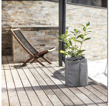 Scenă exterioară cu plantă în jardinieră și șezlong din lemn pe o terasă