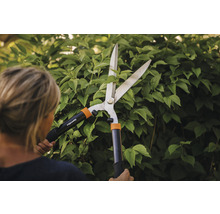 Femeie taie gard viu cu foarfece de gard viu Fiskars