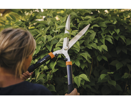 Femeie taie gard viu cu foarfece de gard viu Fiskars