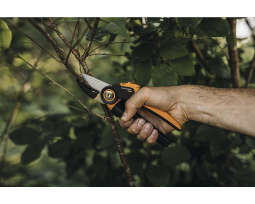 O mână folosește un foarfece de grădină Fiskars pentru a tăia o creangă.