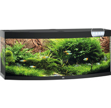 Acvariu Juwel Vision 450 cu iluminare LED, încălzitor, filtru interior, fără dulap inferior inclus negru