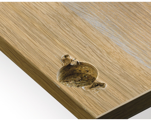 Prim plan cu o placă de lemn deteriorată, cu o gaură