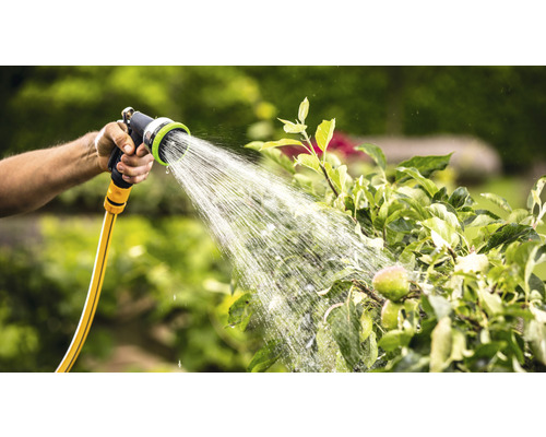 O persoană udă un pom cu un furtun de grădină