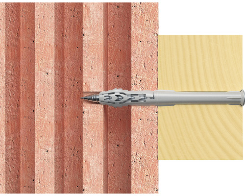 Element de fixare într-un perete