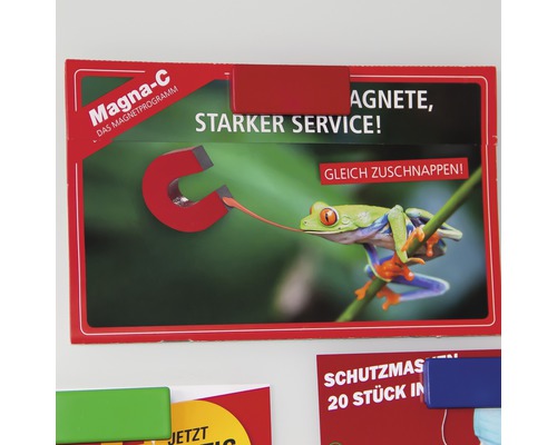 Magneți Magna-C cu motiv broască