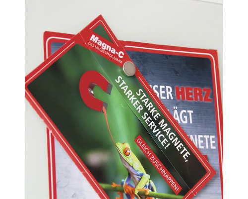 Program magnetic Magna-C cu motiv broască și magnet rotund