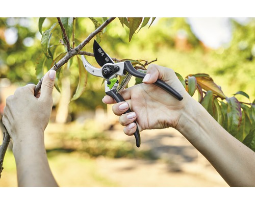 O persoană taie o ramură cu o foarfecă de grădină.