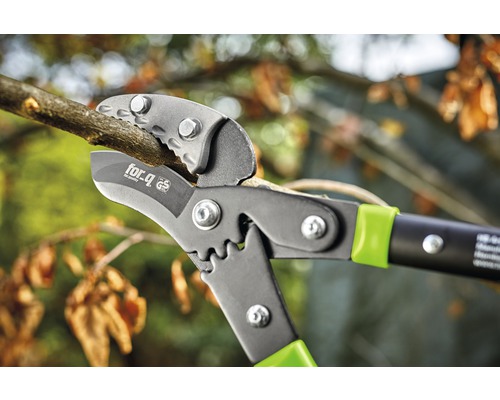 Foarfecă de ramuri care taie o ramură