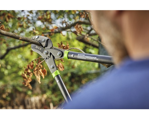O foarfecă de ramuri folosită pentru a tăia o ramură.