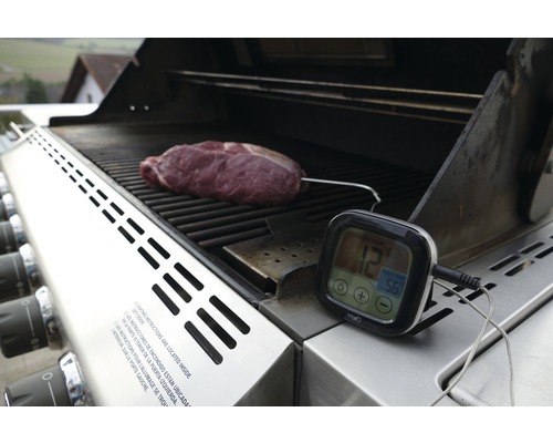 Grătar cu carne și termometru pentru grătar