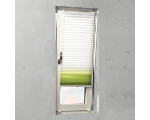 Fereastră cu jaluzea plisată albă și verde