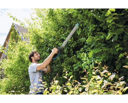 Un bărbat taie gardul viu cu o foarfecă de gard viu în grădină