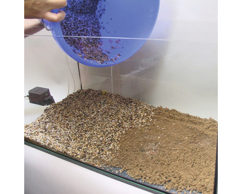 Umplerea unui acvariu cu substrat și pietriș