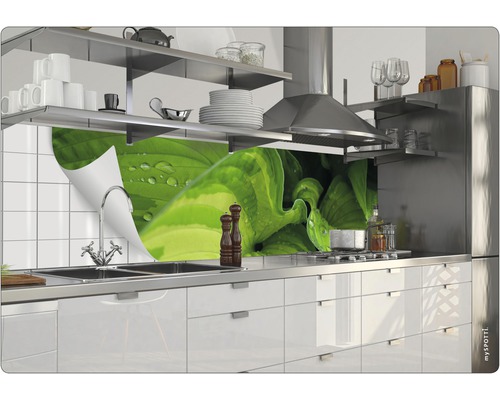 Scenă de bucătărie cu blat, chiuvetă, robinet și protecție împotriva stropilor cu motiv vegetal