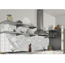 Scenă de bucătărie cu folie de protecție împotriva stropilor, rafturi și hotă de aragaz.