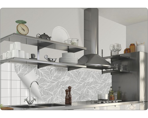 Scenă de bucătărie cu folie de protecție împotriva stropilor, rafturi și hotă de aragaz.