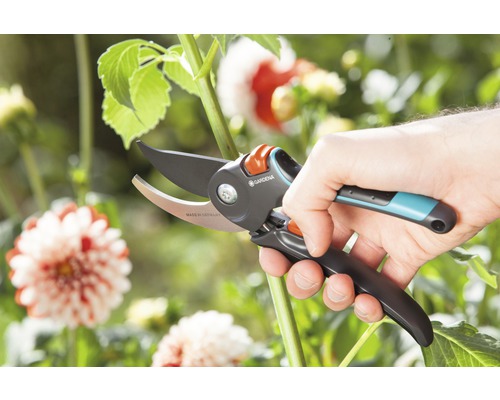 O mână taie o tulpină în grădină cu o foarfecă de grădinărit Gardena.
