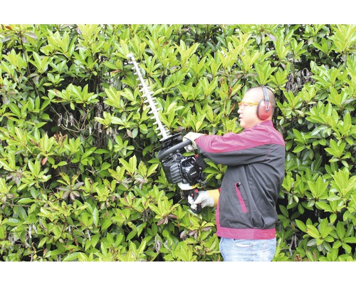 O persoană taie un gard viu cu o foarfecă de gard viu. Persoana poartă îmbrăcăminte de protecție.