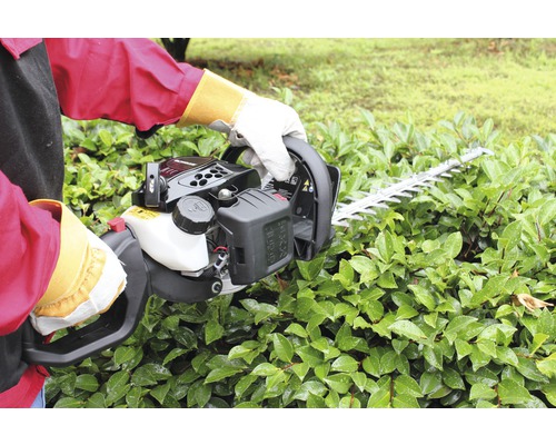 Persoană care operează un gard viu pentru tăierea unui gard viu