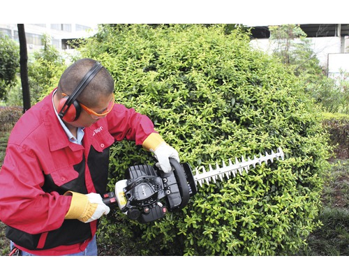 Bărbat taie gard viu cu mașina de tuns gard viu