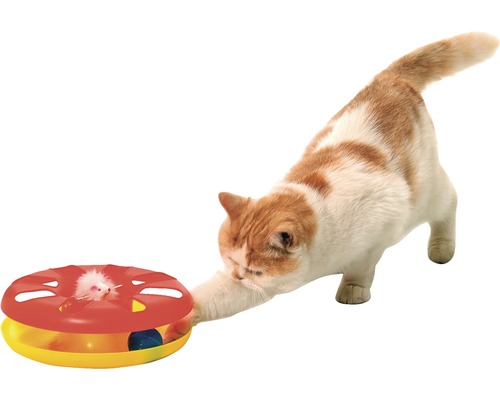 Pisică se joacă cu o jucărie interactivă pentru pisici cu un șoarece