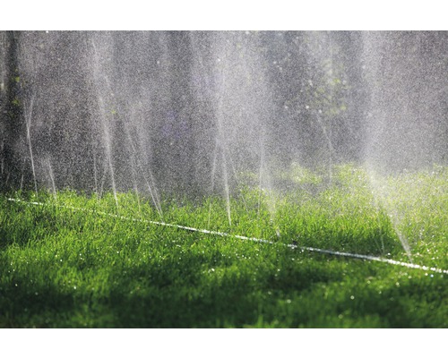 Sistem de irigare în grădină care stropește gazonul