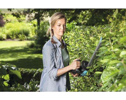 Femeie taie gard viu cu o foarfecă de tăiat gard viu în grădină.