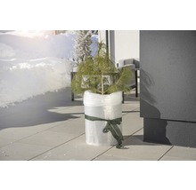 Floraself Folie protecţie iarnă, 5 x 1 m, transparent