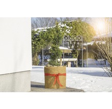 Floraself Pâslă din nucă de cocos, 0,5 x 1,5 m, natur