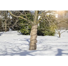 Husă protecție iarnă plante FloraSelf Superprotect 3x1,5 m 70g/m² bej